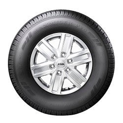 Gt Radial Maxmiler Pro