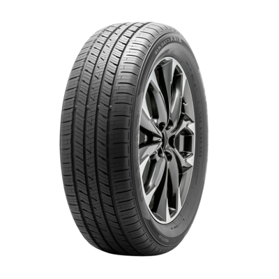 Falken Ziex CT60 A/S