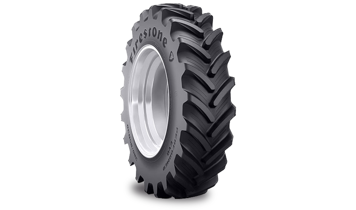 Firestone Performer EVO